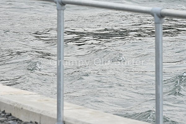 DSC_7068 - Lost Shore 14.11.2025