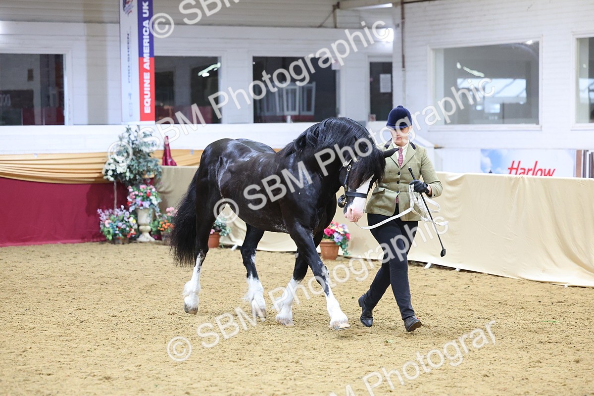 SBM_21052 - Class 902 - Supreme Final IH Veteran