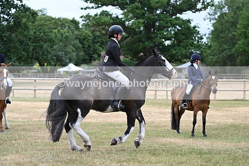 WJ7_0331 - Class 2 Best rider