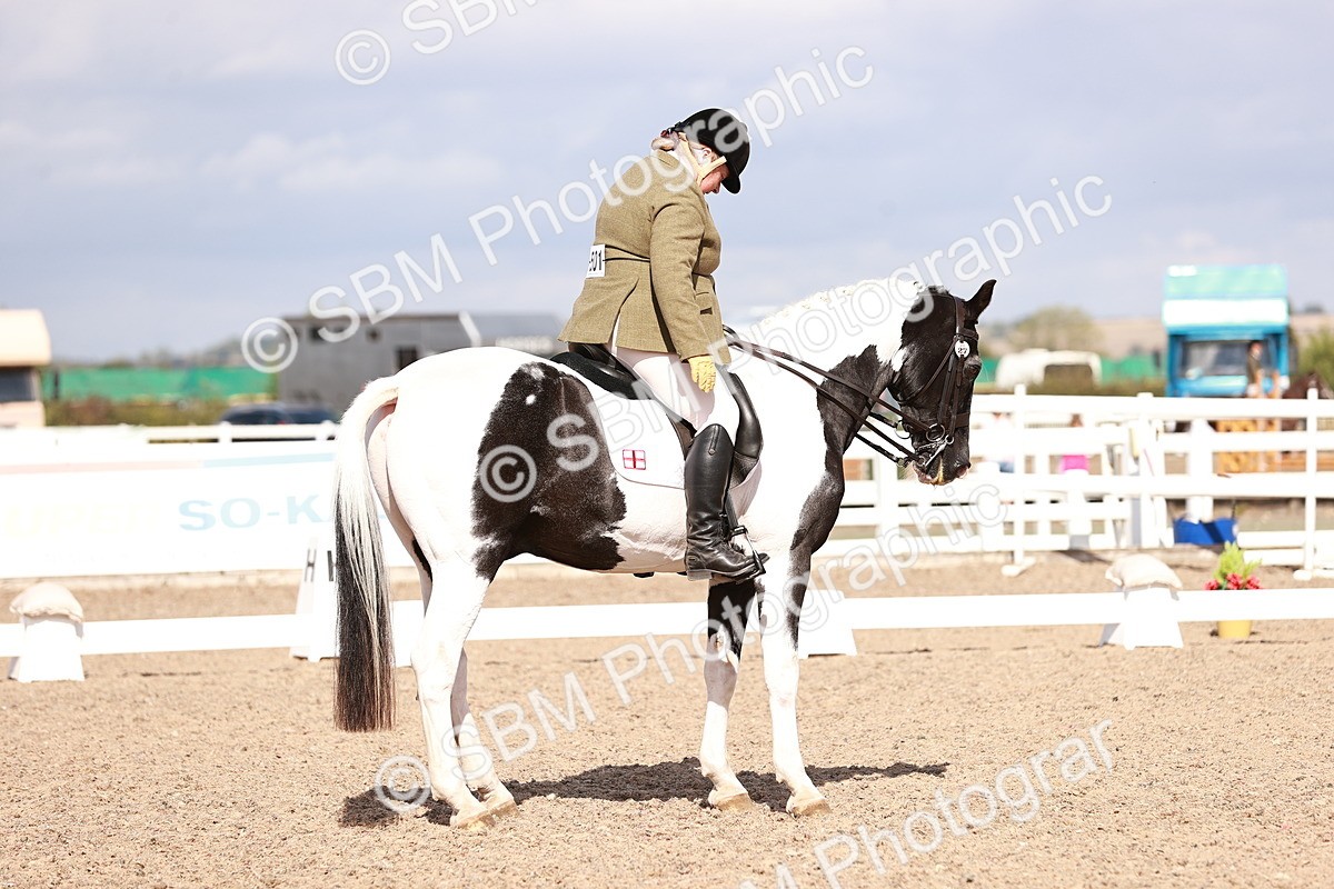 SBM_06620 - Class 39 - Medium 3