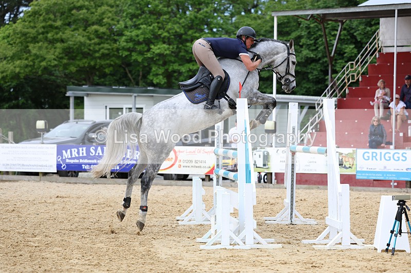 3E7A7591 - Class 8: Senior Foxhunter/1.20 open