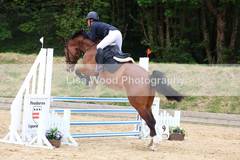 3E7A6189 - Class 4: Senior British Novice/90cm open