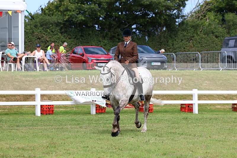 3E7A0254 - Class 6: Rising Star Maxi Cobs