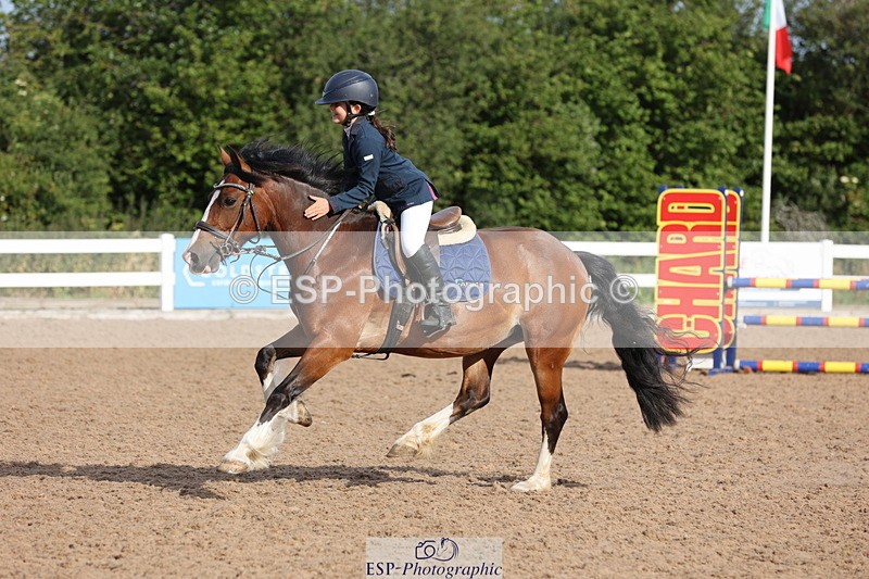 240629A-082234-02526 - Cls 16 British Novice and 80cm Open