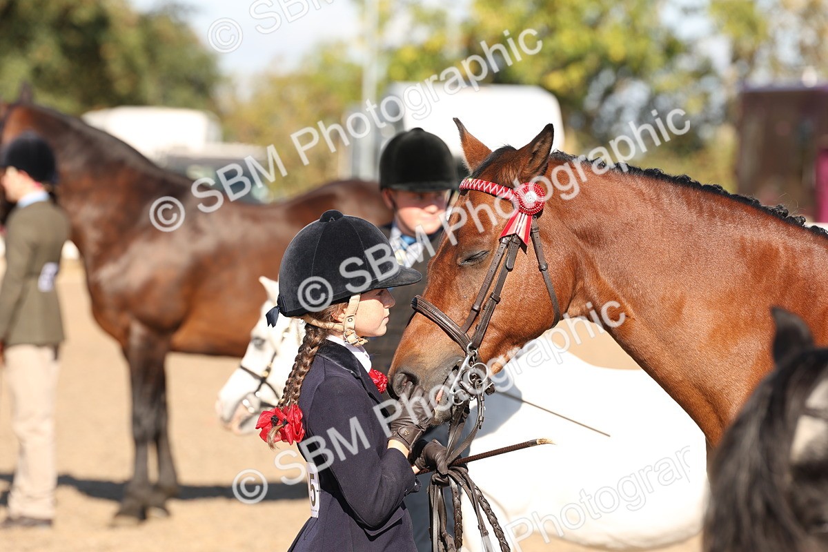 SBM_11760 - Class 204 - Young Handler 11 to 16 years
