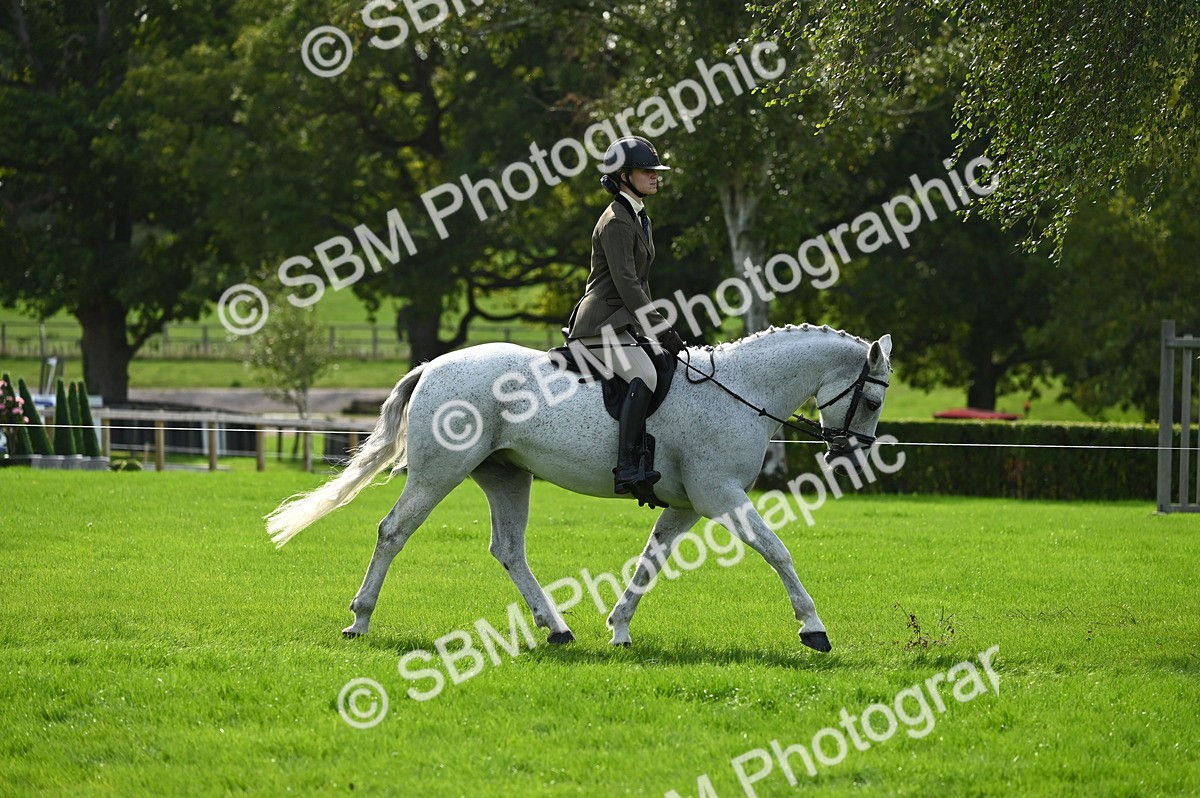 SBM_02626 - S3 - TSR Ridden Pony Showing