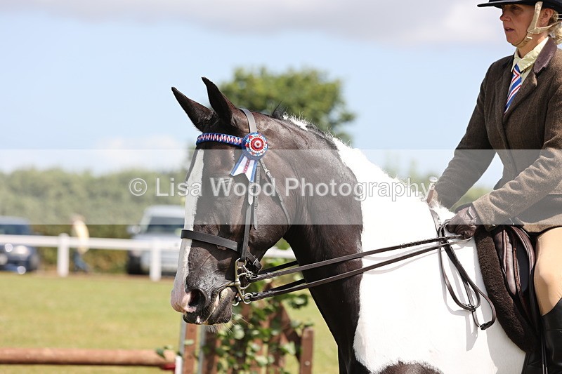 JPP_1395 - Class 17: Cornish Combination Open