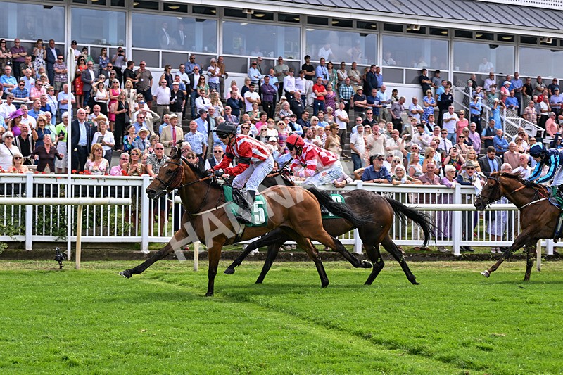 010726-Race 4-Barmyblade-8299 - Race 4 14.40pm Army Benevolent Fund Handicap