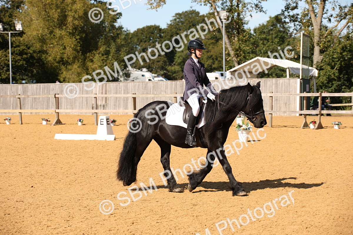 SBM_24164 - D5 - Small Tour Championship - Intro C