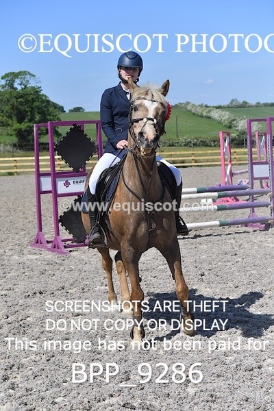 BPP_9286 - CLASS 7 80CM