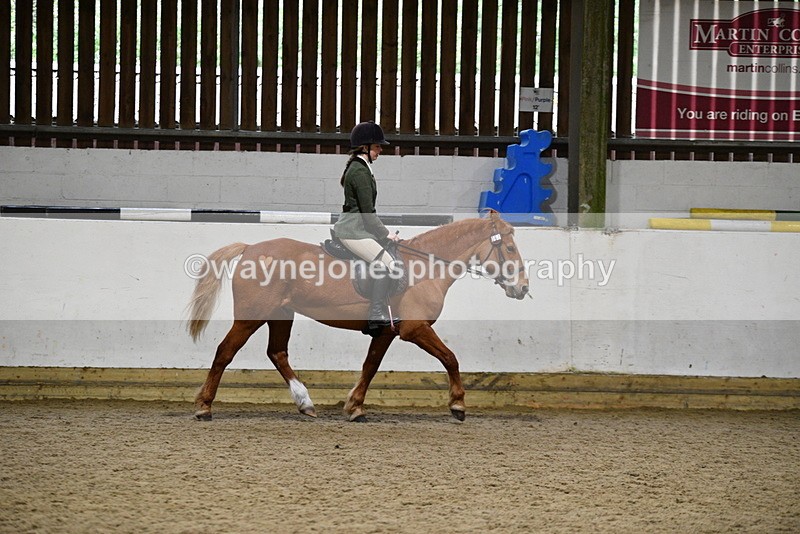 WJ5_8503 - Class 14 Novice Ridden/Rider