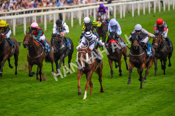 100923-Race 7-Looking For Lynda-1238 - Race 7 4.55pm Brian Taylor 50 Not Out Apprentice Handicap