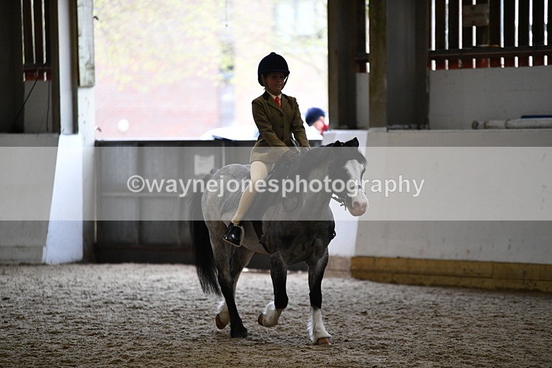 WJ5_6880 - Class 10 Childs Pony