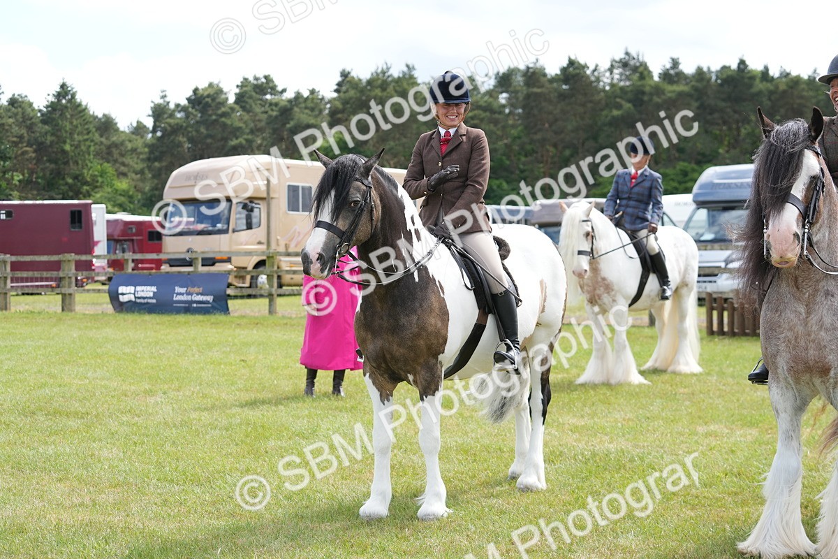 SBM_17308 - Class 107-108 - LIHS BSPS Performance Coloured Horse Pony