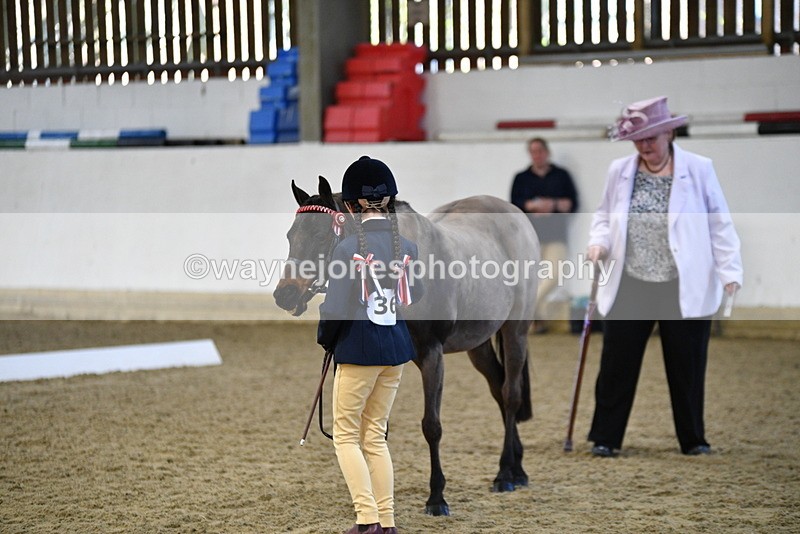 WJ5_3576 - Class 5 In Hand Veterans