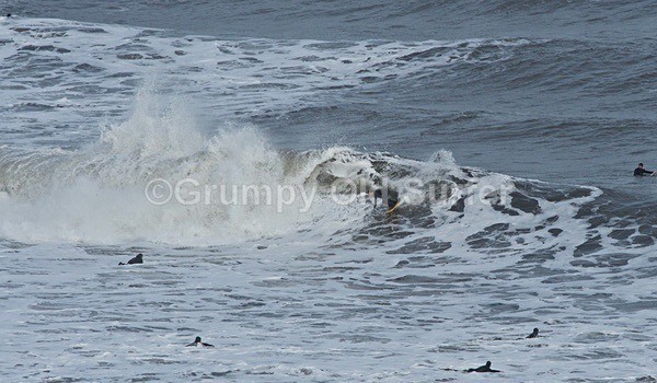 DSC_4141 - Cayton Point 30th October 2017