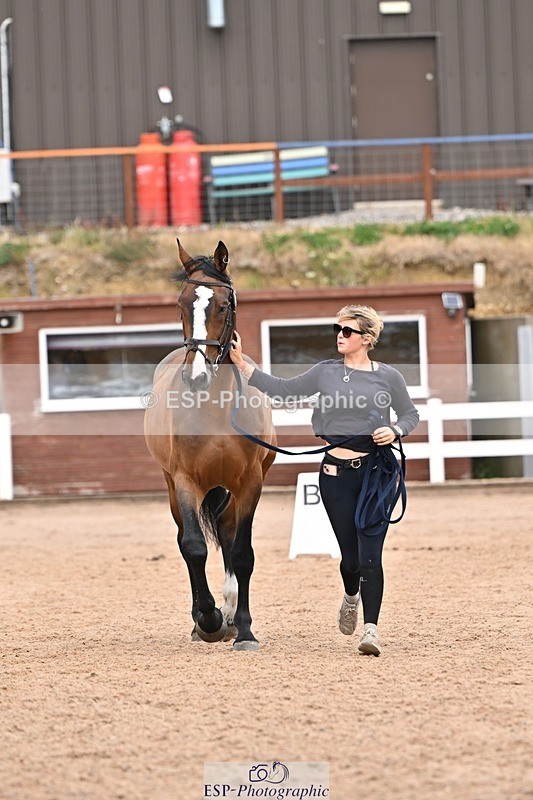 250716-161917-02557 - Trot Up 3.30 to 4.30