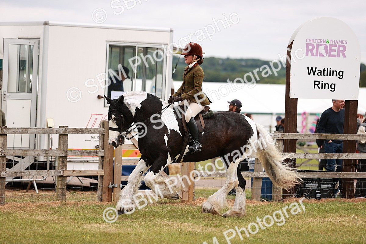 SBM_06153 - Class 39-41 TGCA In Hand and Ridden