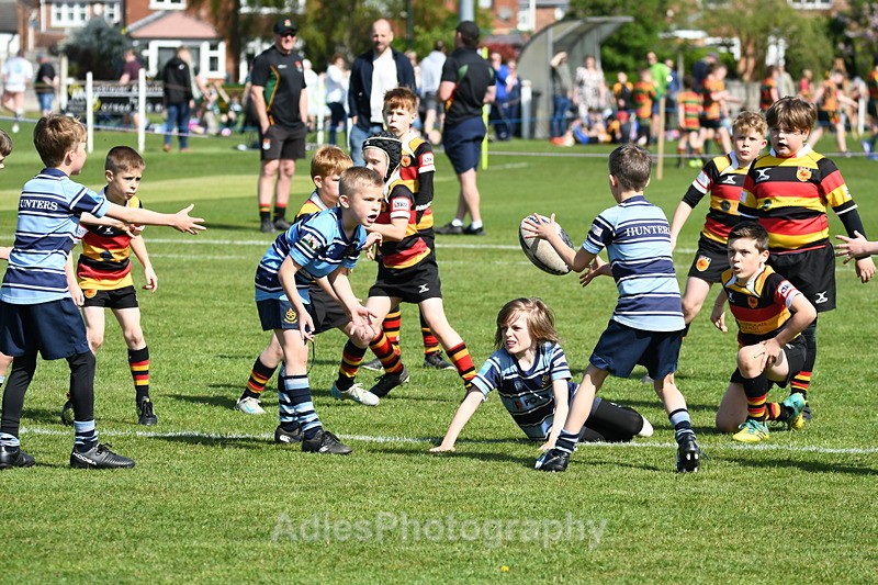  - Selby Rugby Festival 2025
