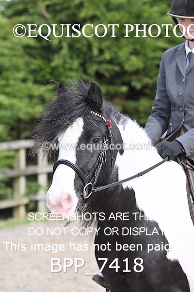 BPP_7418 - RING 1  (RIDDEN HORSES / IN HAND / VETERAN ETC)