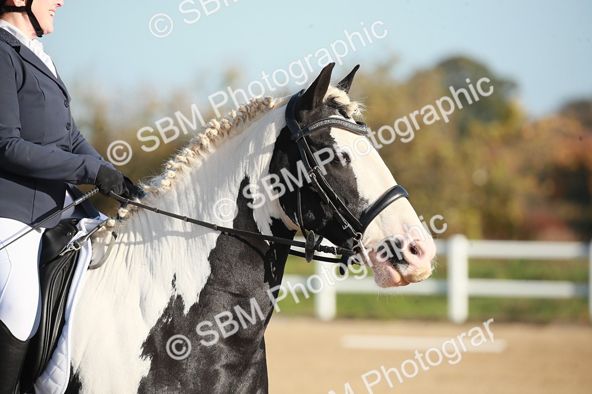 SBM_000316 - Class 3-4-11-12 - MQ Open-U21 Intro 2 N2