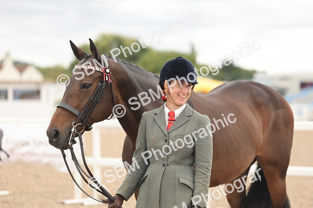 SBM_17116 - Class 313 - IH Retired Racehorse