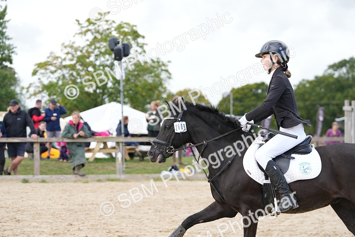 SBM_40852 - Supreme Championship Pony 50-55cm