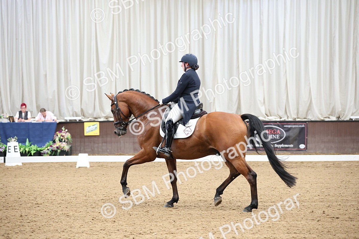 SBM_004462 - Class 9 - FEI Inter 1 Gold - 15.55-16.43