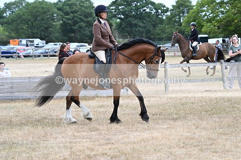 WJ7_0559 - Class 6 Ridden Mountain and Moorland