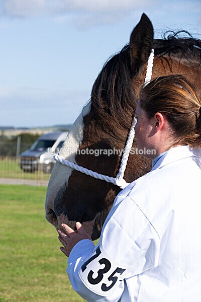 DSC_0035 - Ring 1