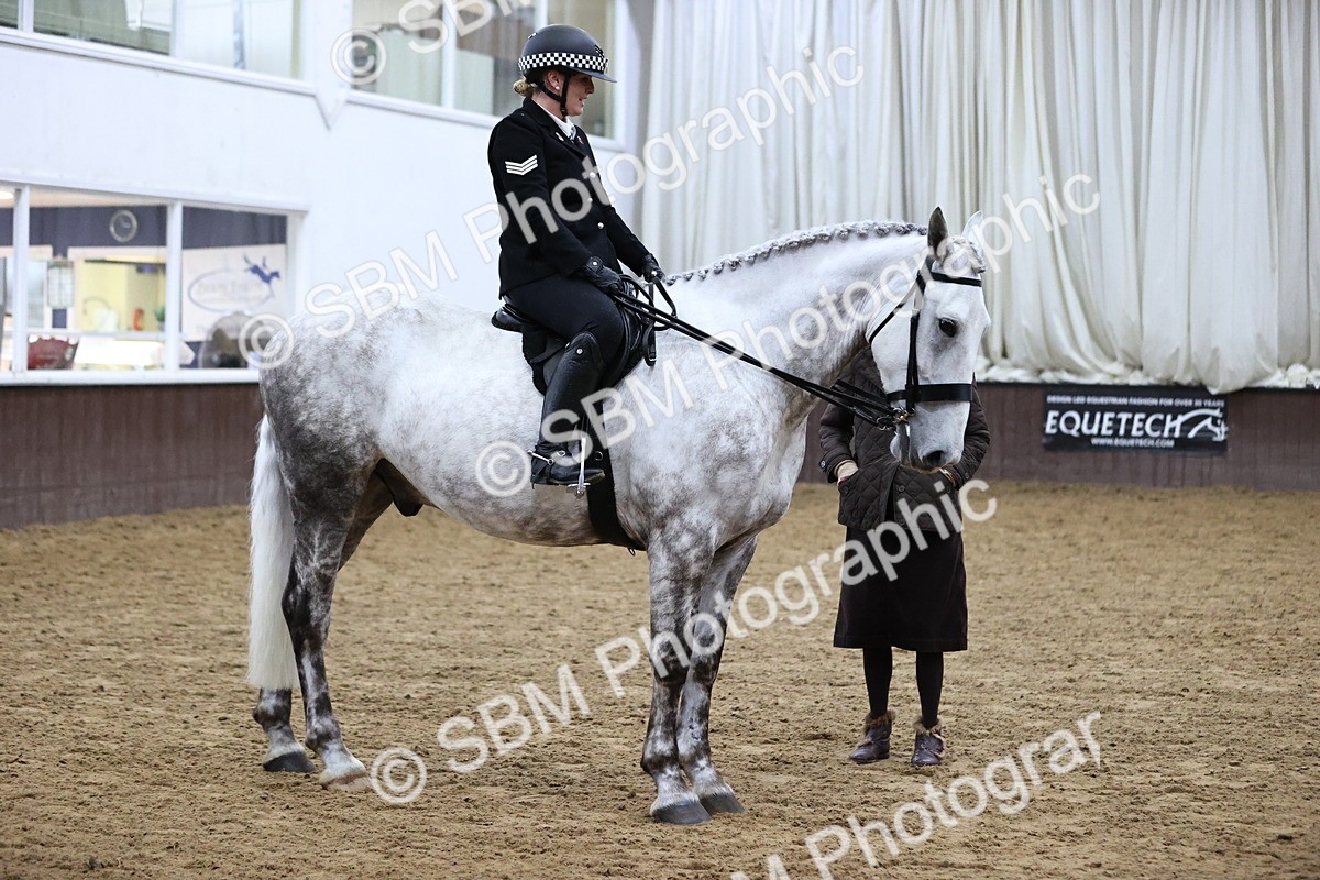 SBM_6300 - Class 17 - IDHSG Challenge Pure Breed