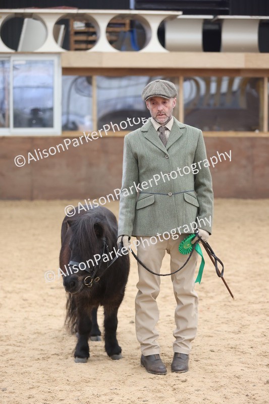 20251109-0356 - Class 13 - Mares 4 Years and Over