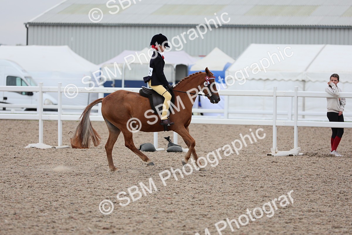 SBM_18157 - Class 316 Best Pony/Rider Combination