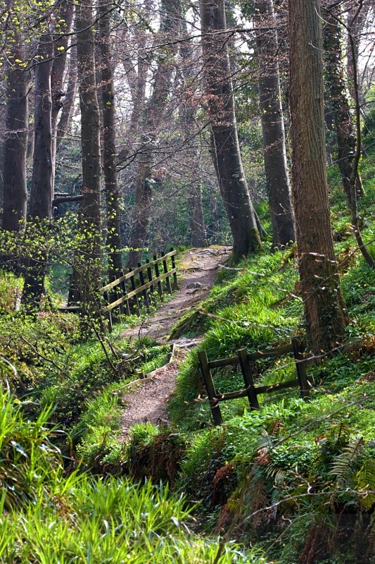 Spring in Colby Glen - Land of Man