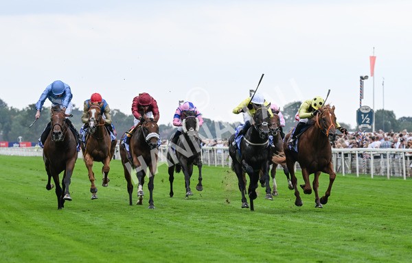 230825-000 King Of Cities - Race 1 1.50pm Sky Bet Strensall Stakes