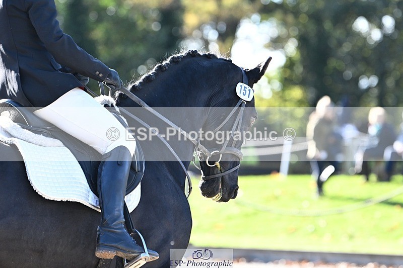 231110-124516-00779 - Cls 3 Novice 22