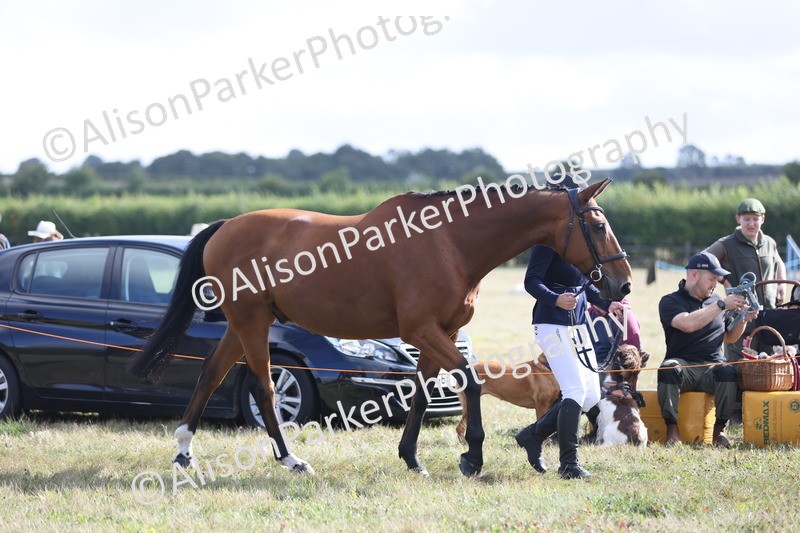 20250831-1502 - Class 21 - Inhand Open