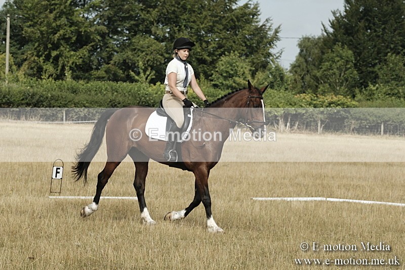 _PJP5684 - Dressage Classes BVRC Show 2018