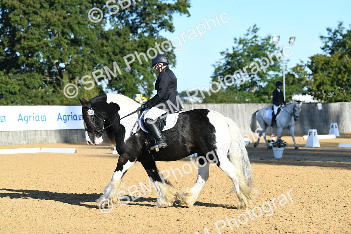 SBM_14472 - D4 - Small Tour Championship - Intro B