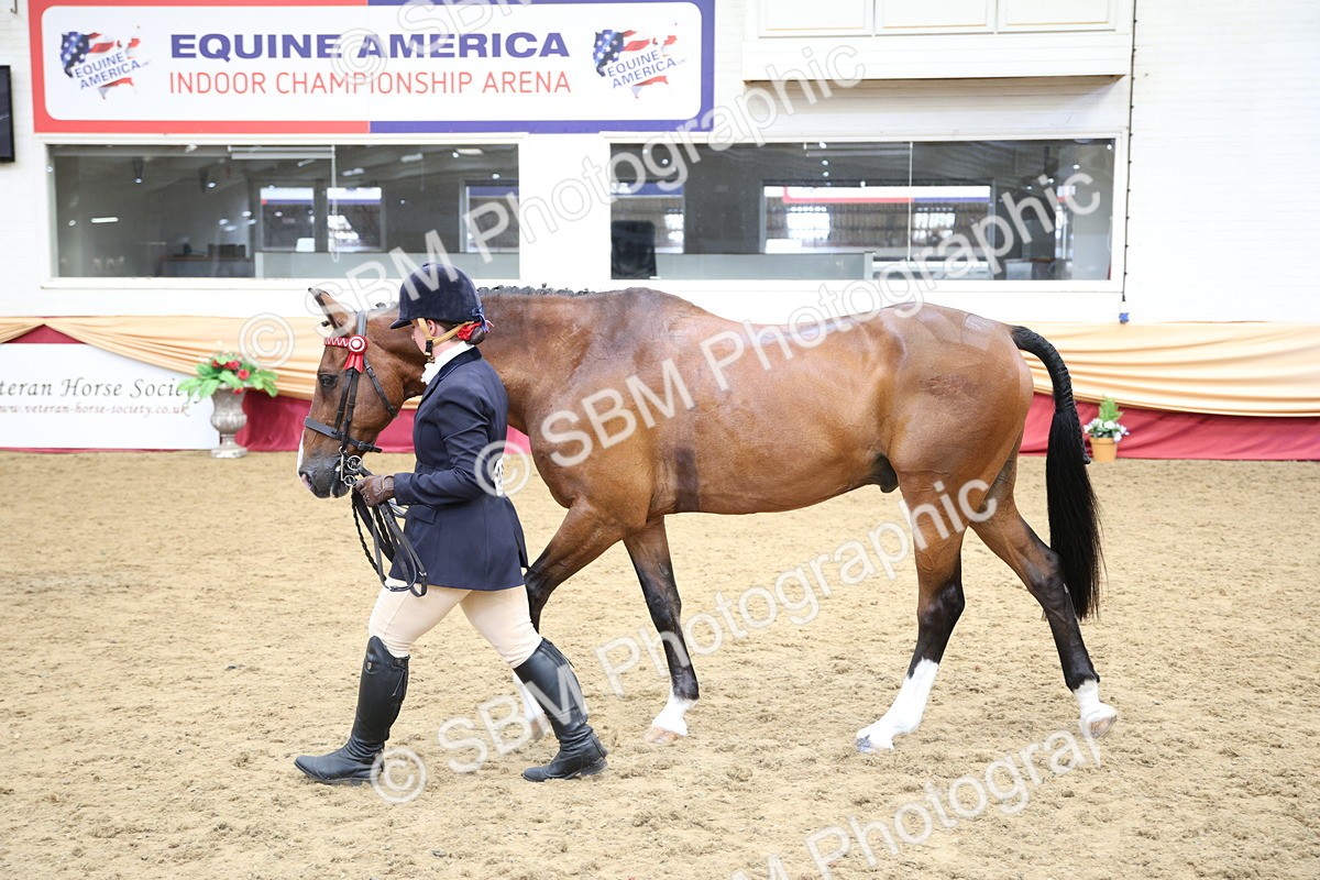 SBM_23417 - Class 904 - Supreme Final Ridden Diamond