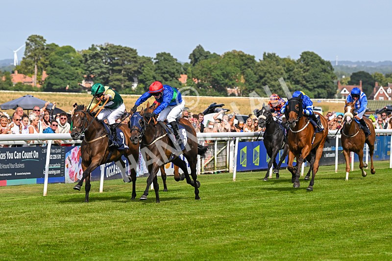 140824-Race 4-Queens Road Revue-6463 - Race 4
