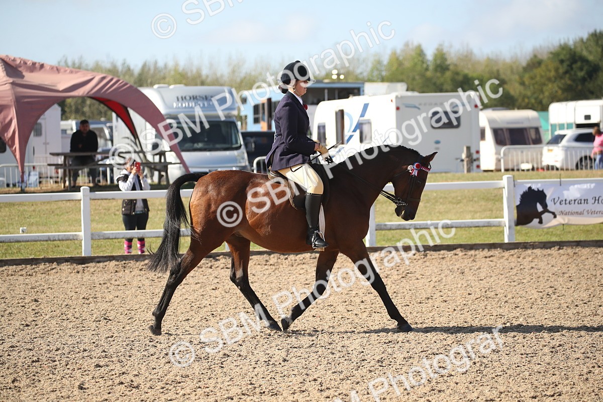 SBM_22795 - Class 602 - 2026 Area - Ridden Veteran