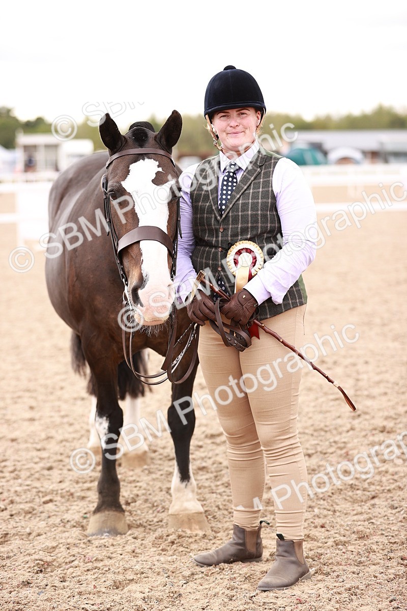 SBM_16153 - Class 411 - Prettiest Mare - (IH or Ridden Adult)