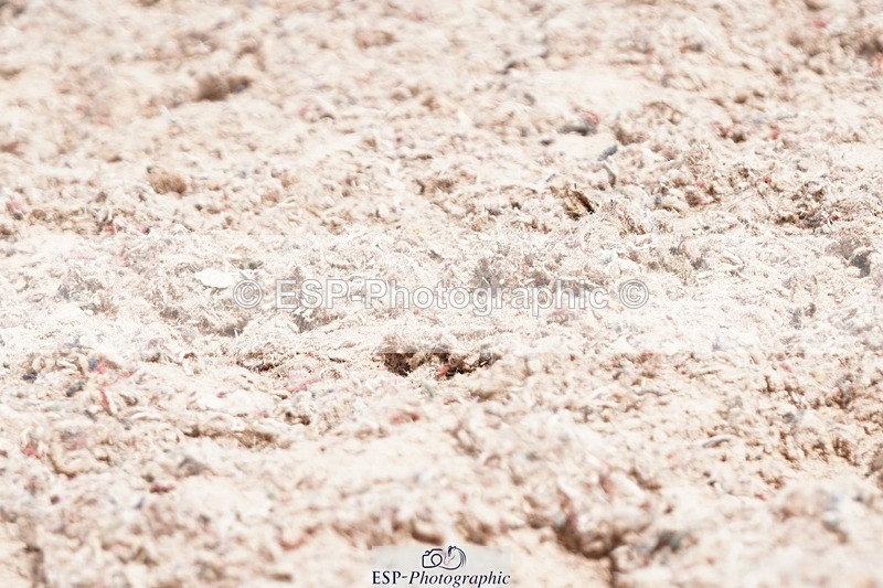 250622-104658-13406 - Cls 52 FreeStyle Elementary Inc Presentations