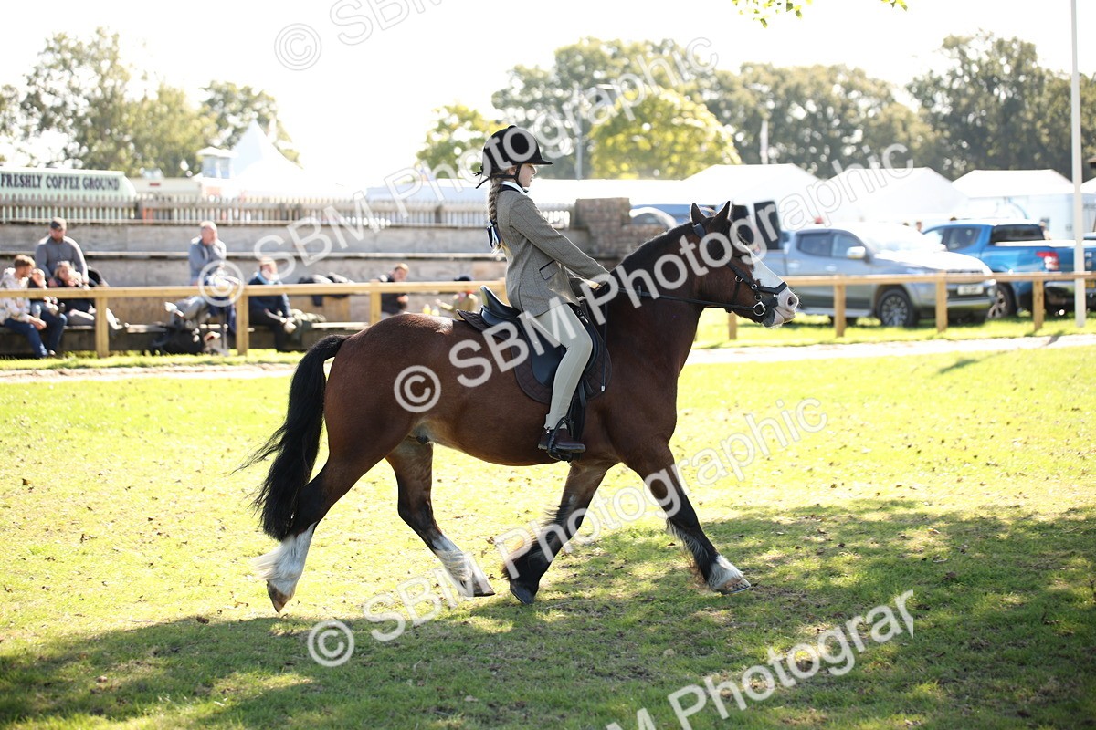 SBM_39028 - S11 - Best Ridden Horse & Pony