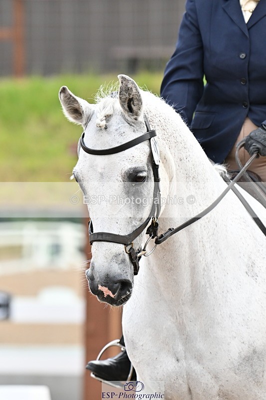 240817A-104324-07194 - 312-Carolyn.Day-Greycroft.Ronan