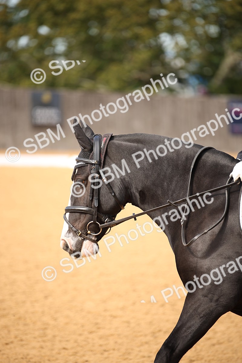 SBM_24093 - D5 - Small Tour Championship - Intro C