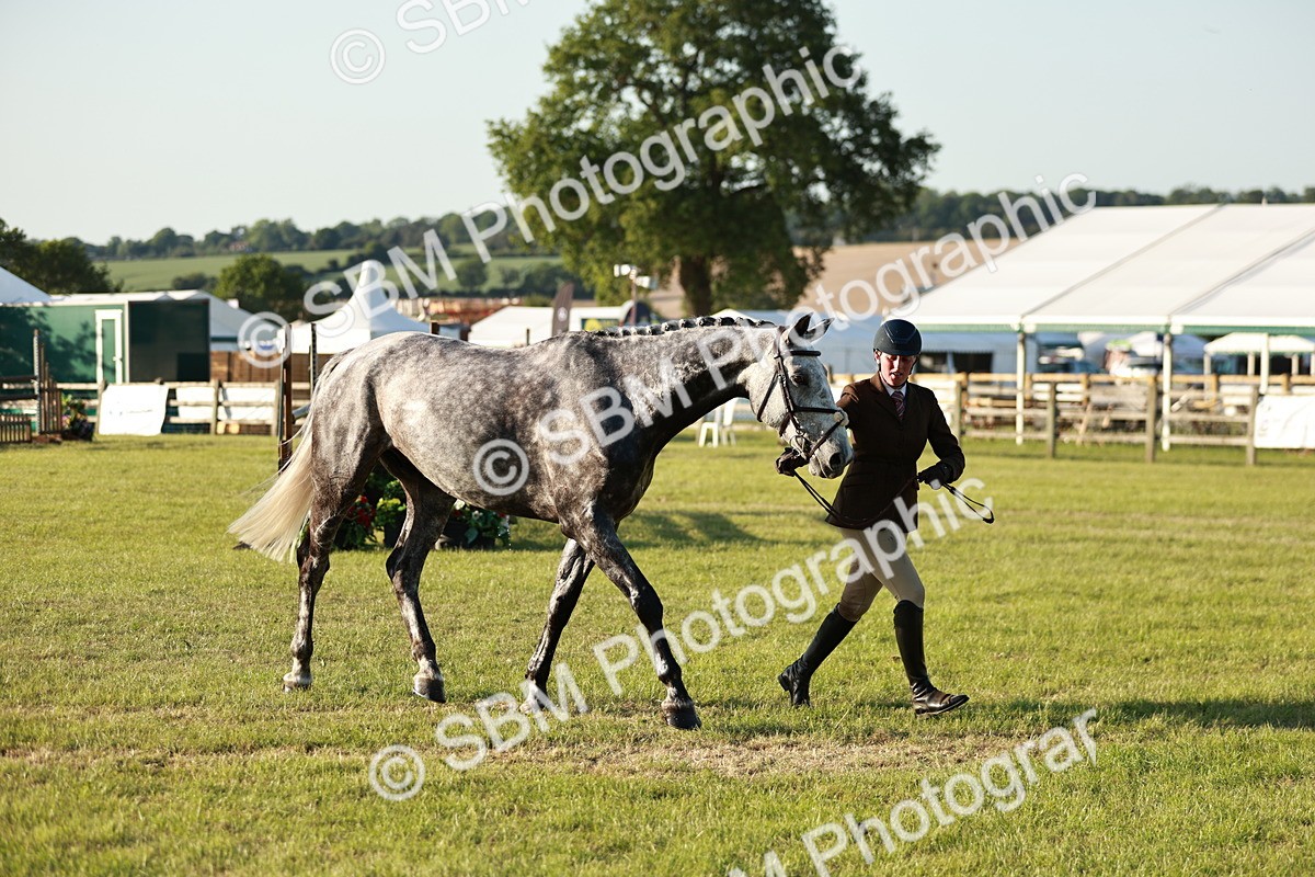 SBM_20515 - Class 117-119 - Sport Horse Working Hunter