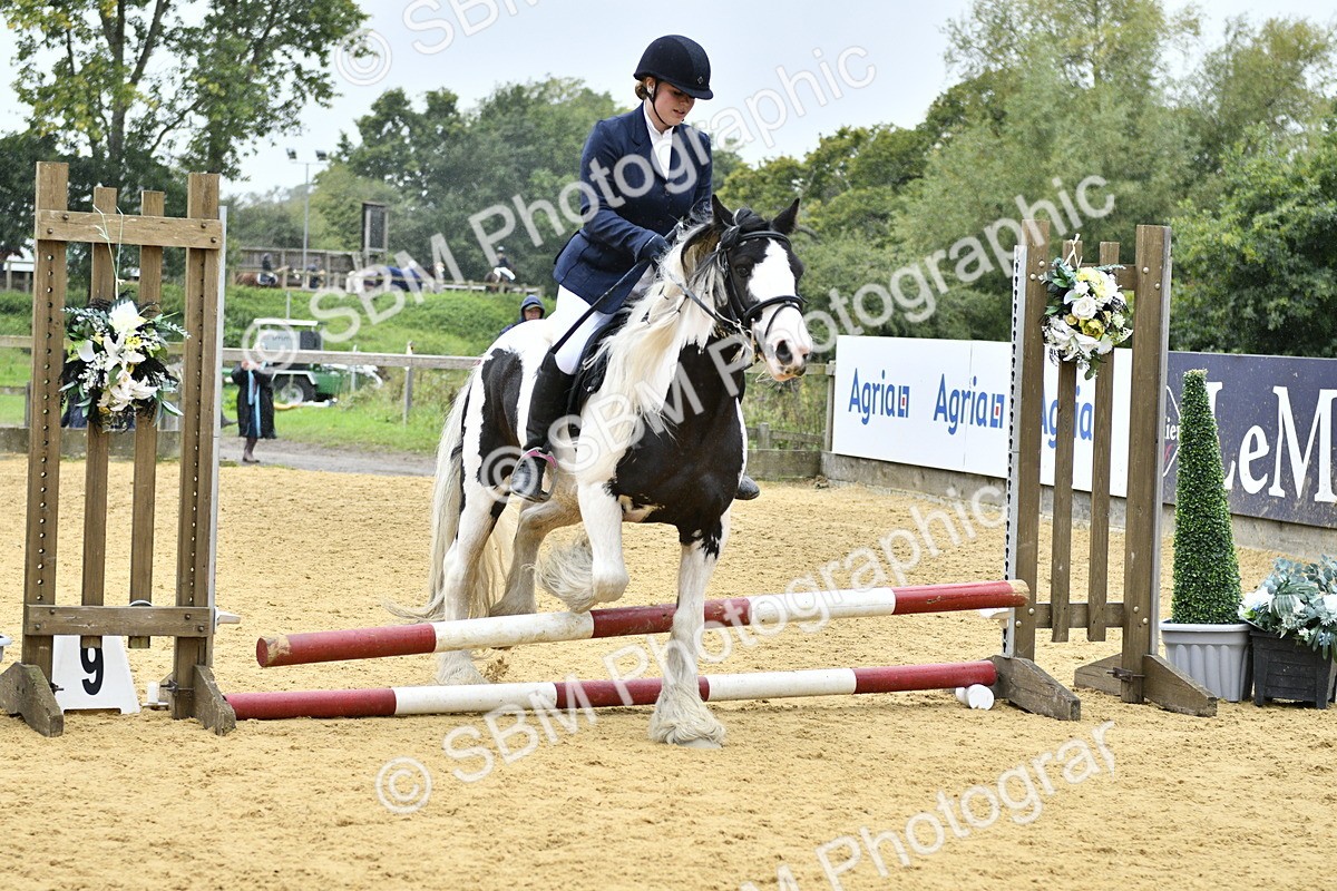 SBM_70749 - J3 - Mini Tour Junior Pony 40cm championship