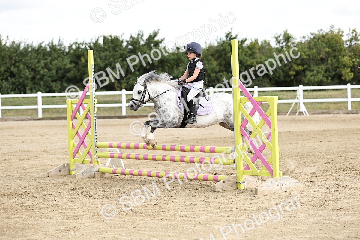 SBM_004055 - 60cm showjumping
